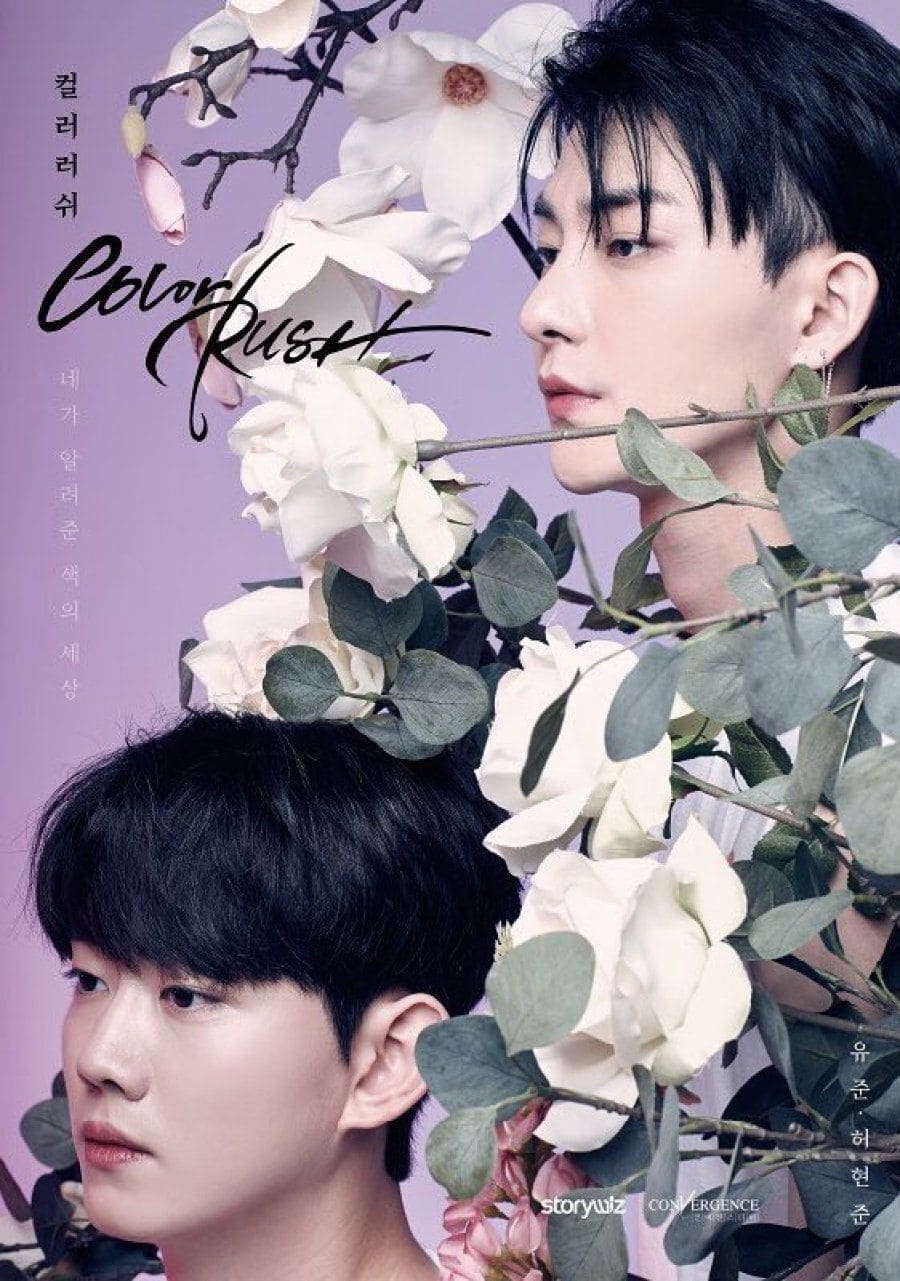 Affiche 컬러 러쉬