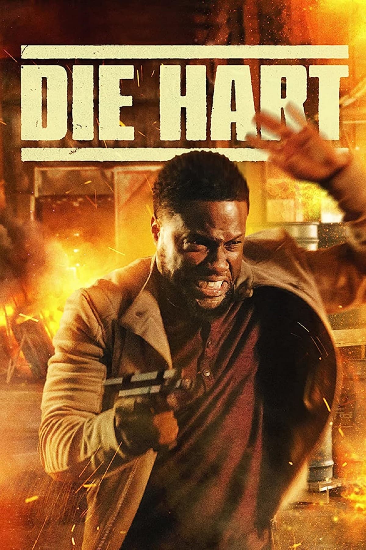 Affiche Die Hart