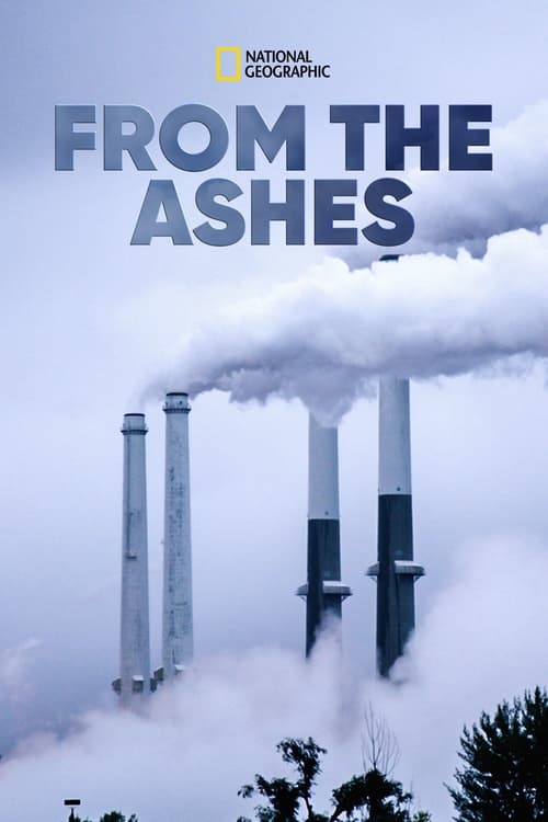 Affiche From the Ashes