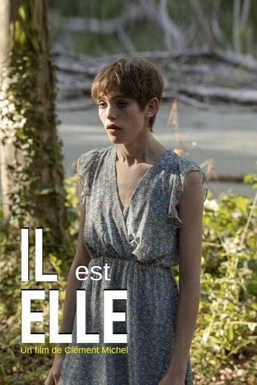 Affiche Il est elle