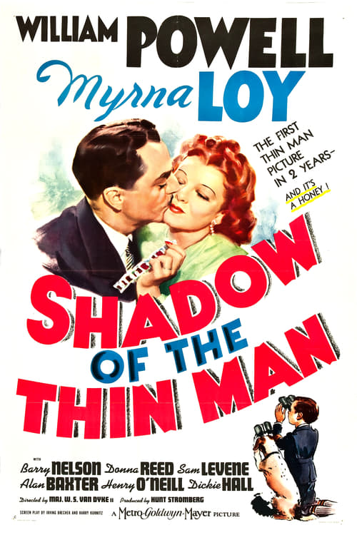 Affiche L'ombre de l'introuvable