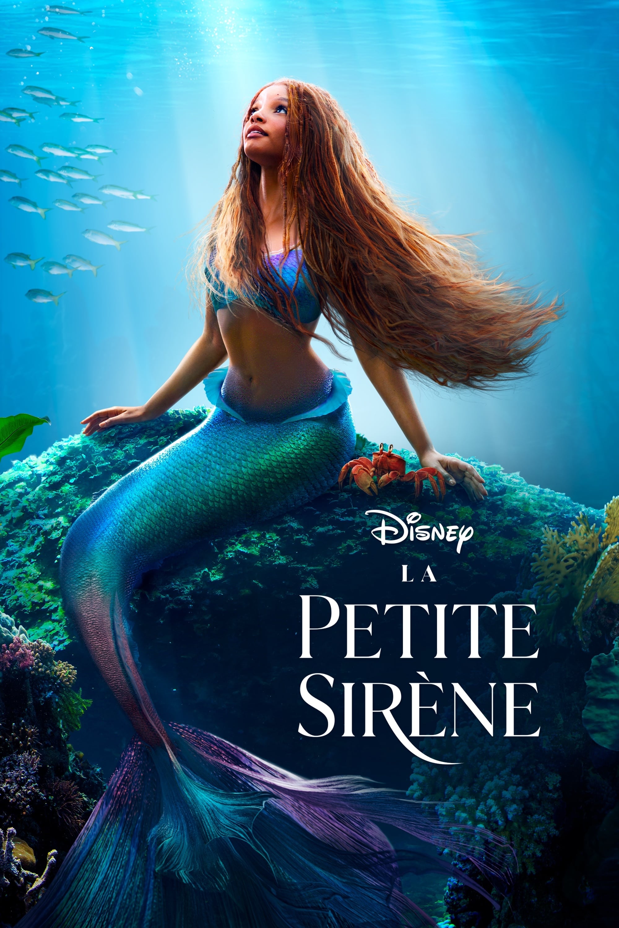Affiche La Petite Sirène