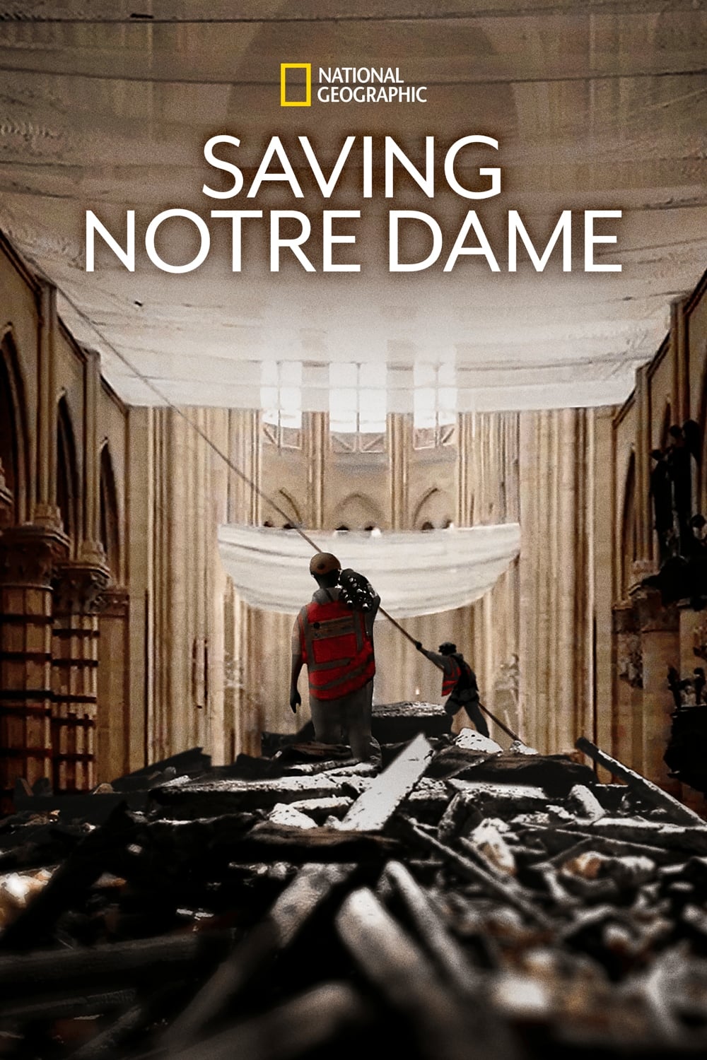 Affiche Saving Notre-Dame