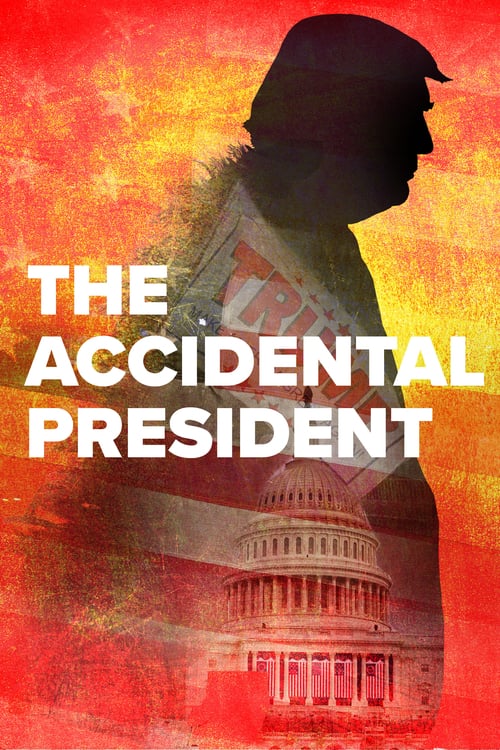 Affiche The Accidental President