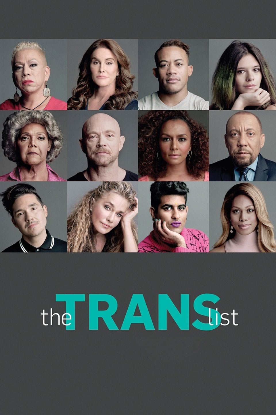 Affiche The Trans List