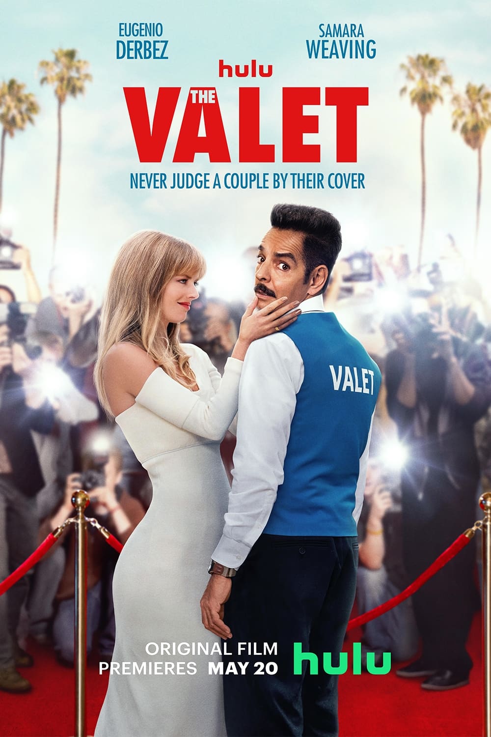 Affiche The Valet