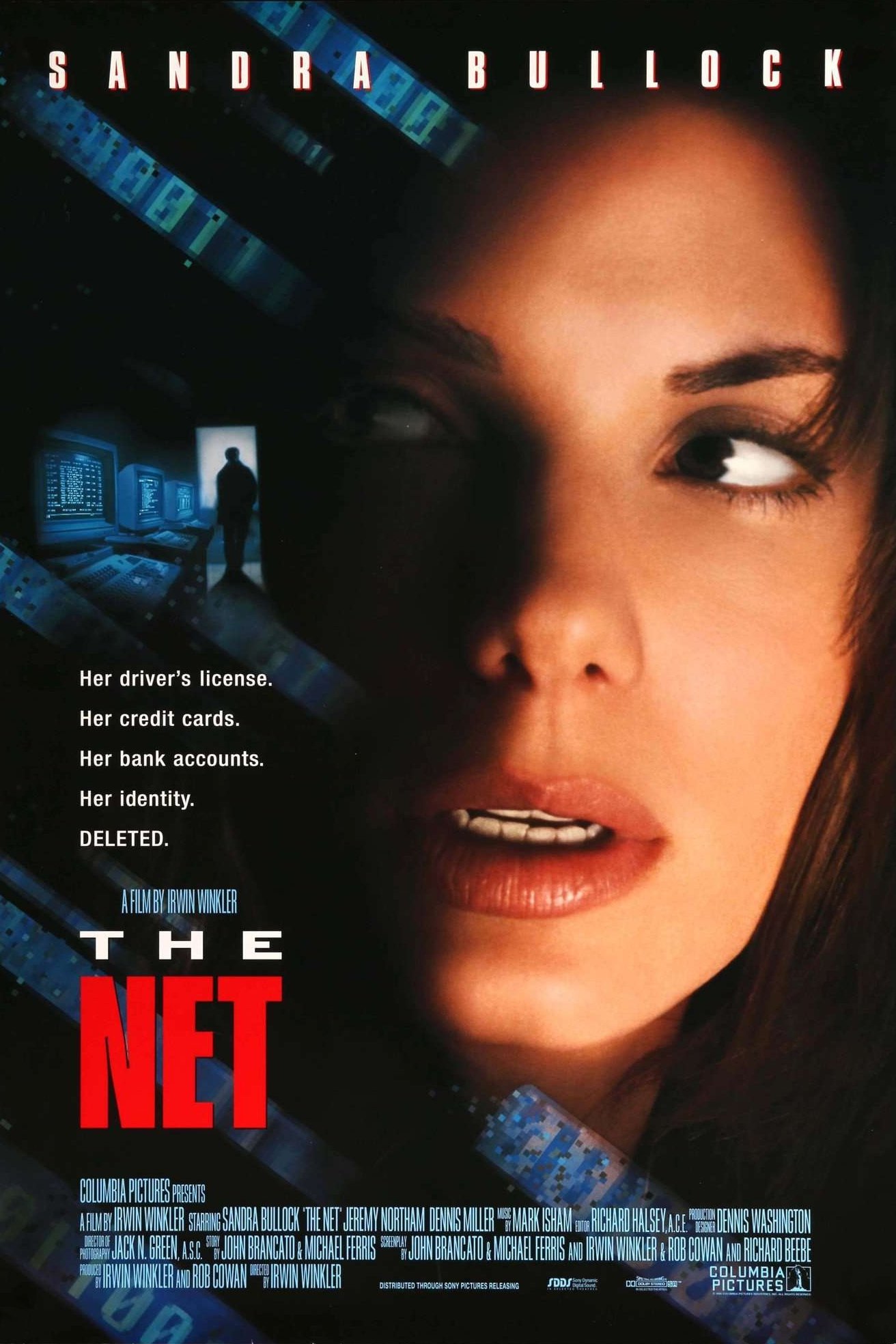 Affiche Traque sur Internet