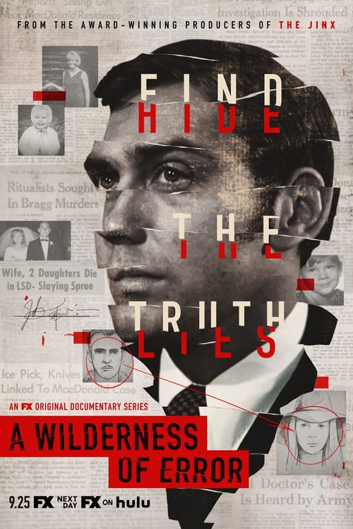 Affiche A Wilderness of Error