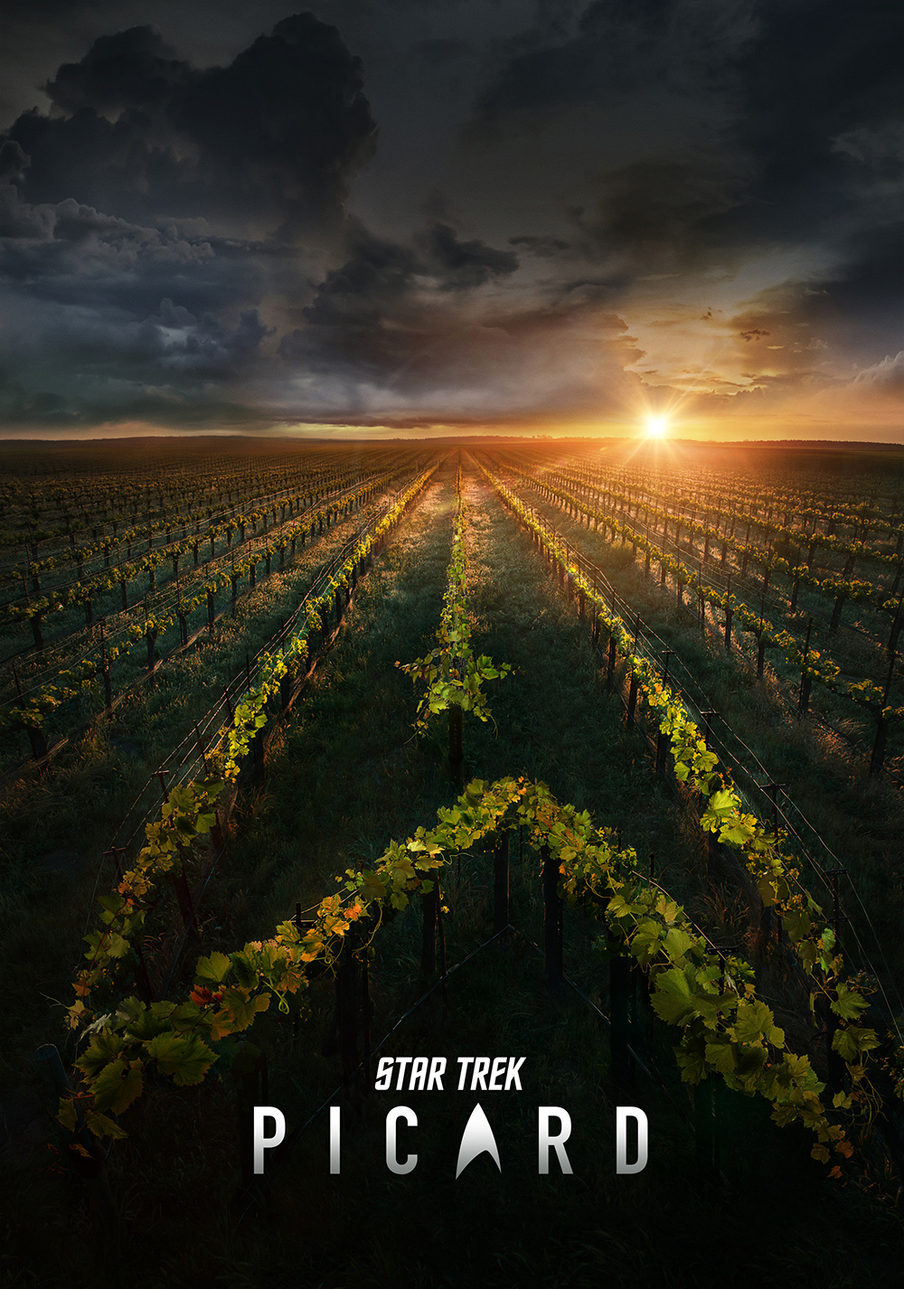 Affiche Star Trek: Picard