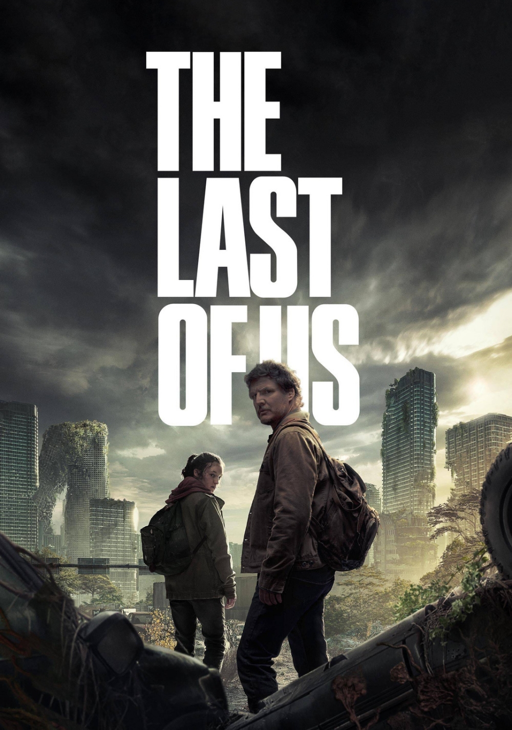 Affiche The Last of Us